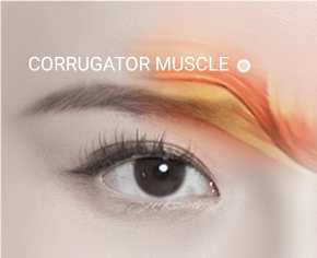 forehead lift in korea, made young plastic surgery, seoul south korea